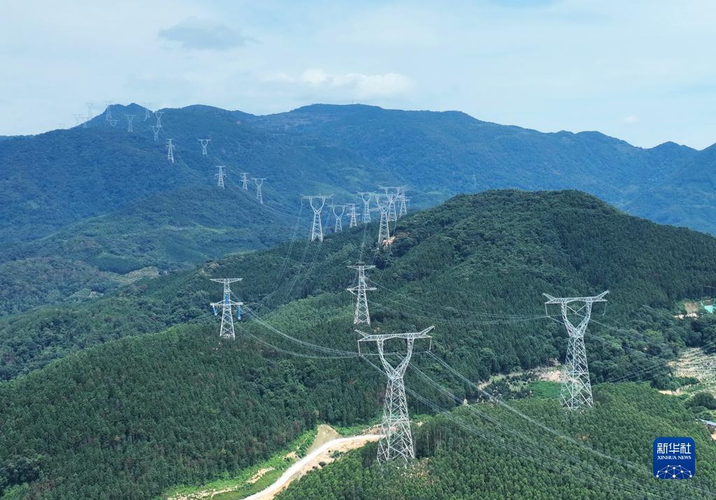 狮子机游戏下载